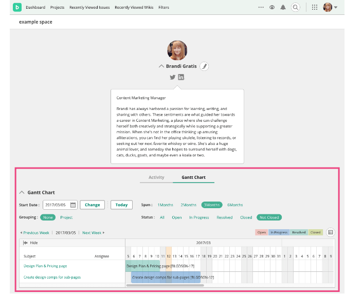 Screenshot: Screen of the Gantt Chart on Profile page