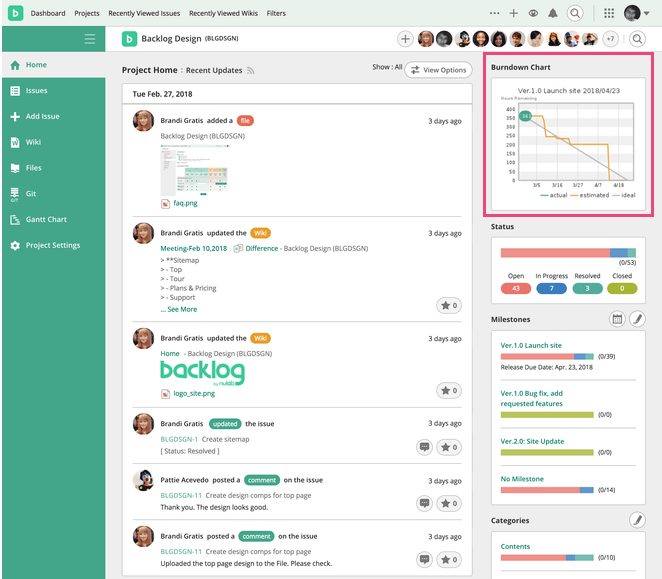 Screenshot: Screen of the Burndown chart on Project Home