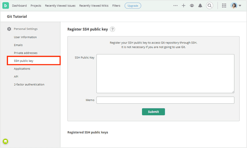 Click "Register SSH public key"