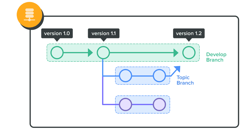 Image of a feature branch